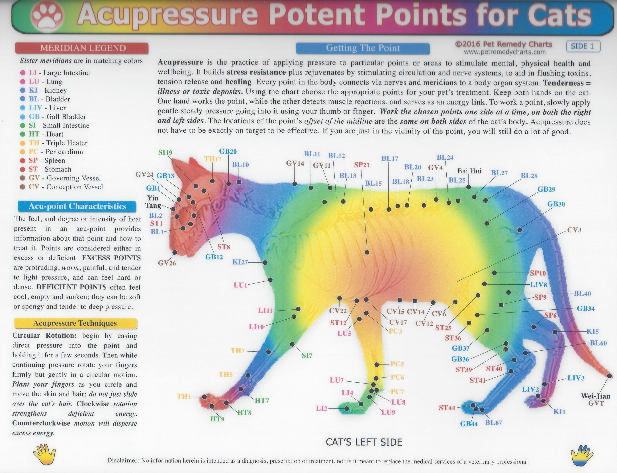 Animal Acupressure Pet Info Alley